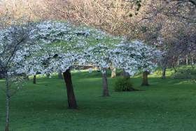 Irish National War Memorial Gardens