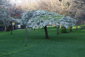 Irish National War Memorial Gardens