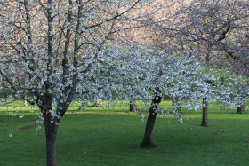 Irish National War Memorial Gardens