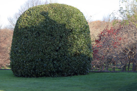 Irish National War Memorial Gardens