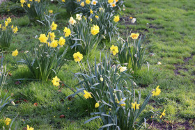 Irish National War Memorial Gardens