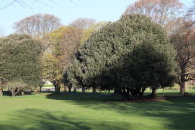 Irish National War Memorial Gardens