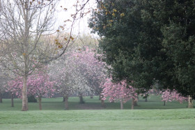 Irish National War Memorial Gardens