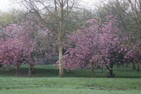 Irish National War Memorial Gardens