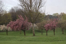 Irish National War Memorial Gardens