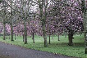 Irish National War Memorial Gardens