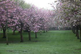 Irish National War Memorial Gardens