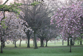 Irish National War Memorial Gardens