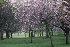 Irish National War Memorial Gardens