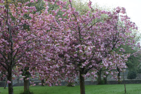 Irish National War Memorial Gardens