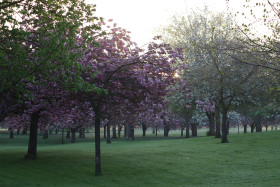 Irish National War Memorial Gardens