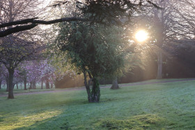 Irish National War Memorial Gardens