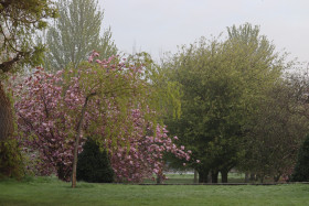 Irish National War Memorial Gardens