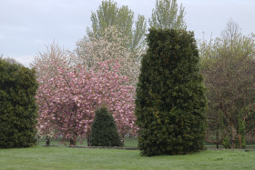 Irish National War Memorial Gardens