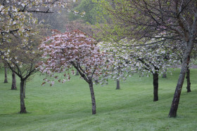 Irish National War Memorial Gardens