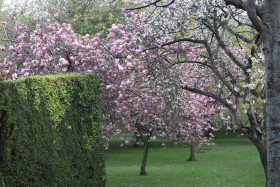 Irish National War Memorial Gardens