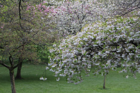 Irish National War Memorial Gardens