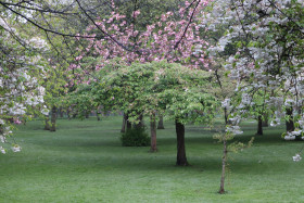 Irish National War Memorial Gardens