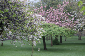 Irish National War Memorial Gardens