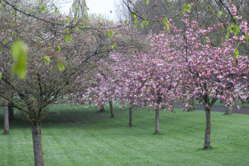 Irish National War Memorial Gardens