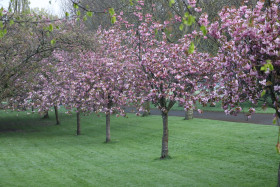 Irish National War Memorial Gardens