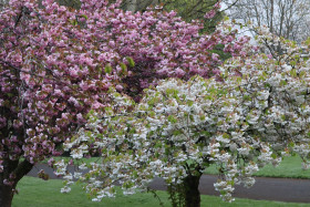 Irish National War Memorial Gardens