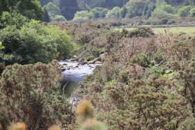 Wicklow Mountains Ireland