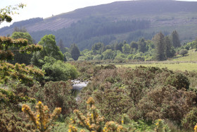 Wicklow Mountains Ireland