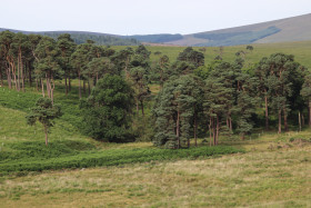 Irish Mountains 5