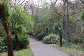 Malahide Castle  7