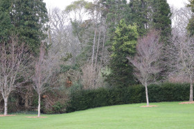 Malahide Castle Park