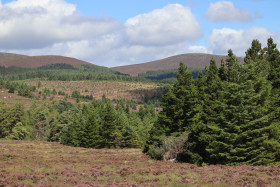 Mountains in Ireland 19