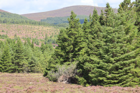 Mountains in Ireland 20