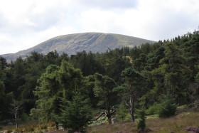 Mountains in Ireland 22