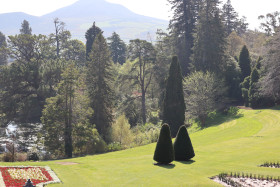 Powerscourt 49