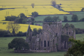 Rock of Cashel (22)