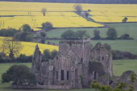 Rock of Cashel (24)