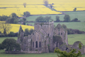 Rock of Cashel (26)