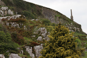 Rock of Cashel (35)